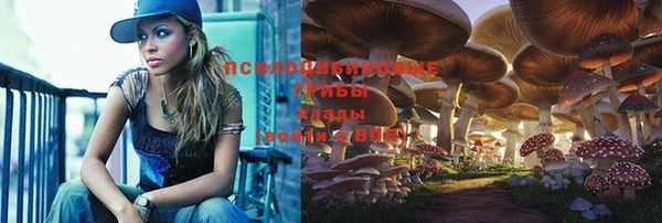 амф Майский