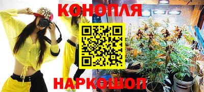 не бодяженный Гатчина