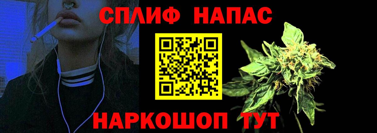 Бошки Шишки сатива Балаково